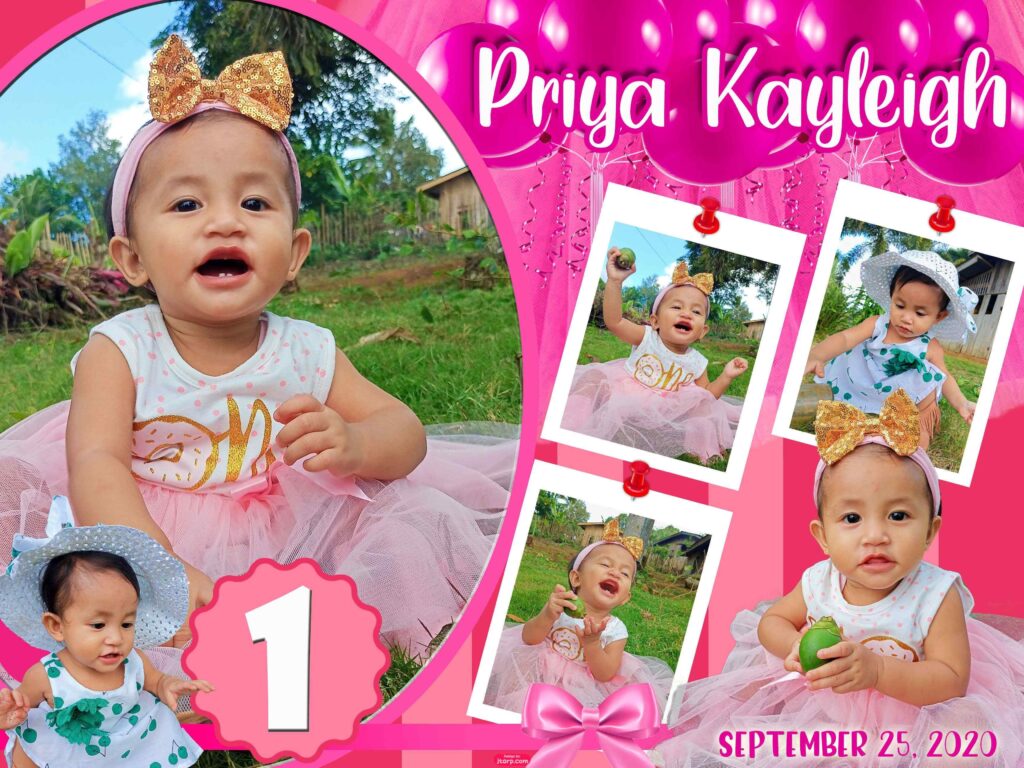 3x4 Priyah 1st Birthday Tarp