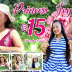 3x5 Princess Joy 15th Birthday