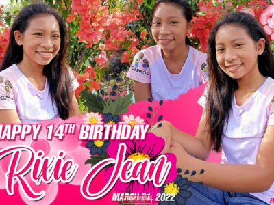 3x2 Rexie Jane 14th Birthday Pink Theme