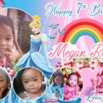 3x2 Happy 7th Birthday Megan Roella Cinderalla Theme