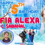 5x3 Sofia Alexa 5th Birthday Frozen Theme Tarp 2