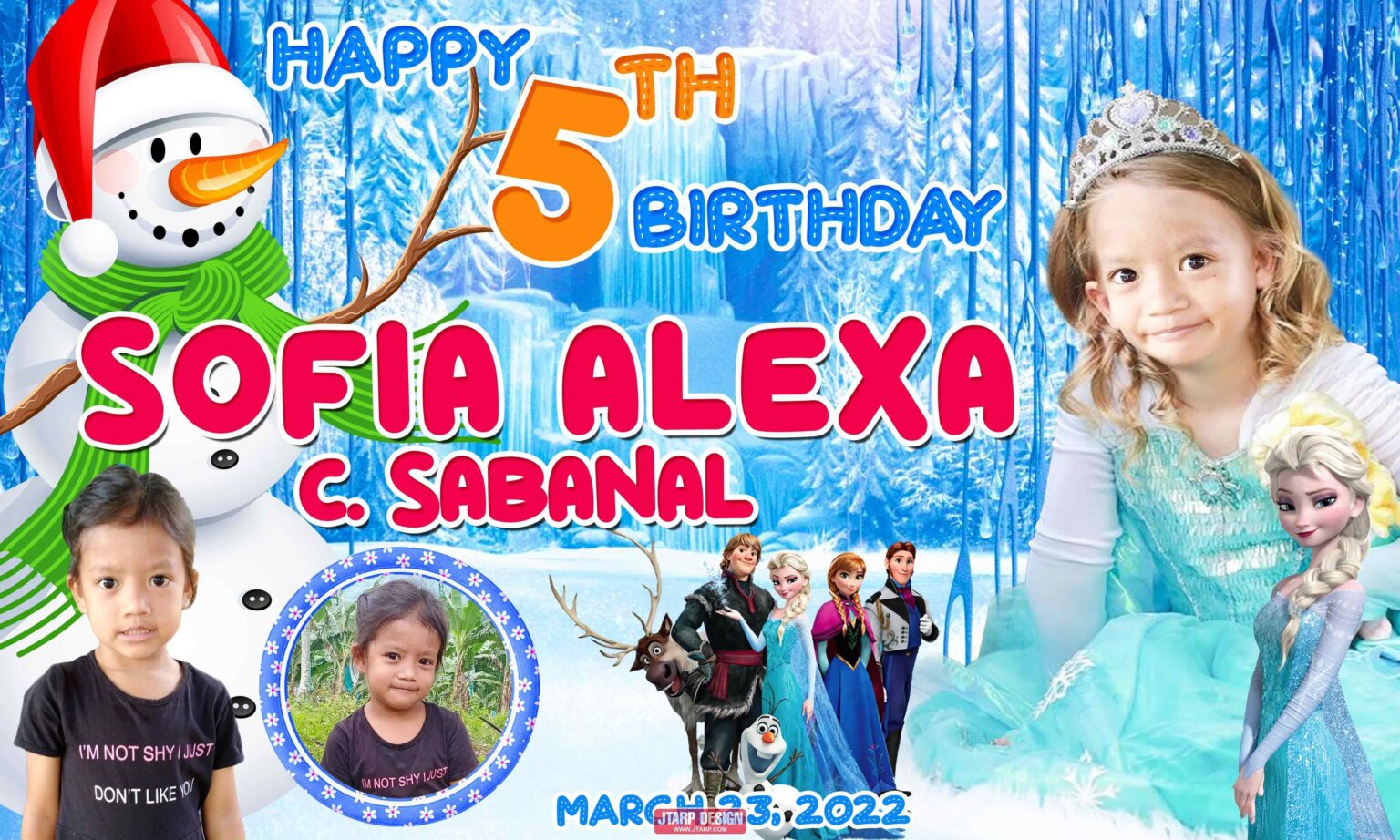 5x3 Sofia Alexa 5th Birthday Frozen Theme Tarp 2