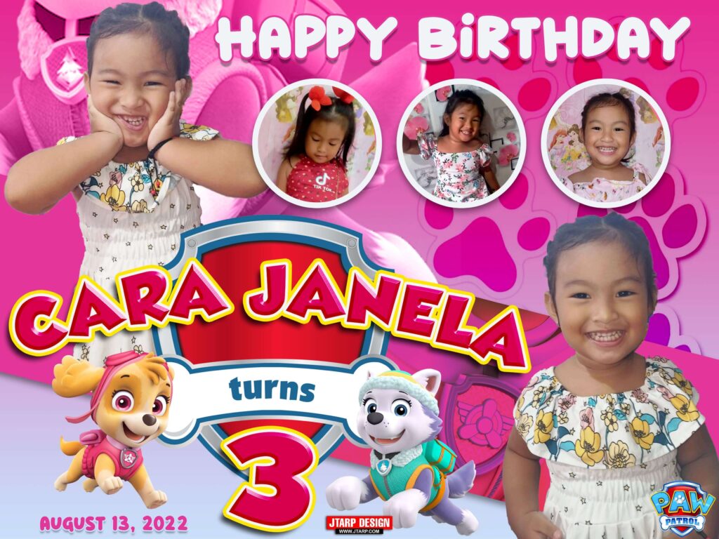 4x3 Happy 3rd Birthday Cara Janela Skye of paw patrol and everest