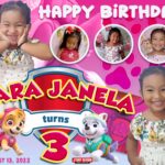 4x3 Happy 3rd Birthday Cara Janela Skye of paw patrol and everest