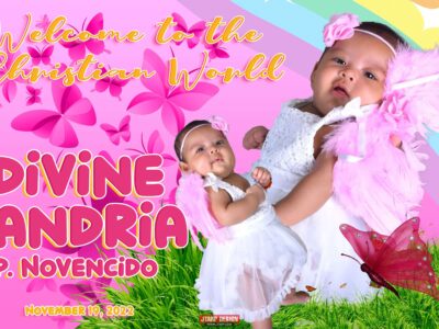 5x3 Welcome to the Christian World Divine Xandria Pink Butterfly Design