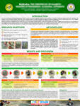 30x40 Inches Infographic PAGRARA